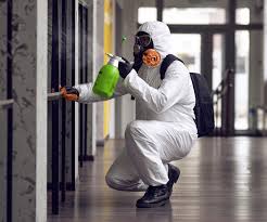 Reliable Kittitas, WA Mold Removal Solutions